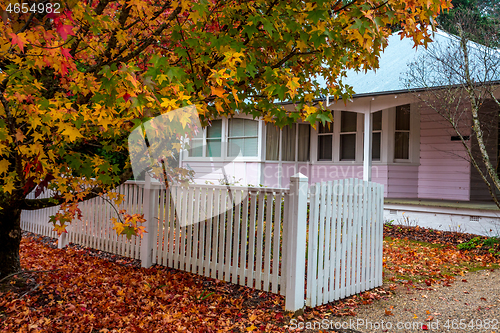 Image of Deciduous trees turning a mosaic of colour in Autumn