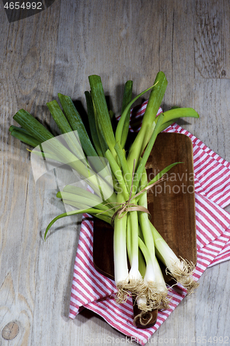 Image of Fresh Spring Onion