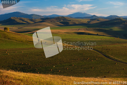 Image of Beauty summer evening in the mountains