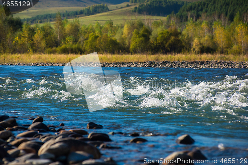 Image of Fast mountain river in Altay