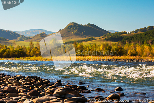 Image of Fast mountain river in Altay