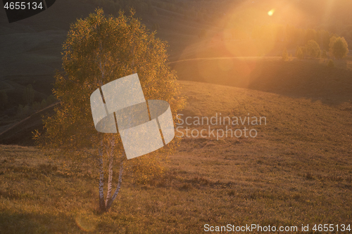 Image of Beauty sunrise in the mountains