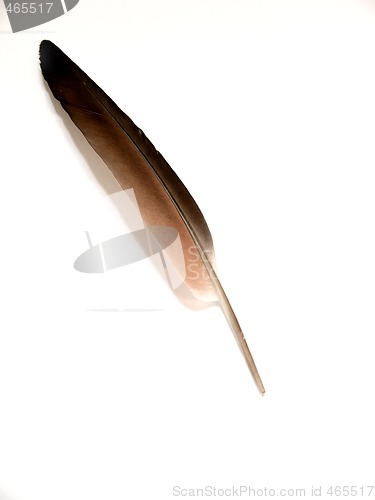 Image of QUILL