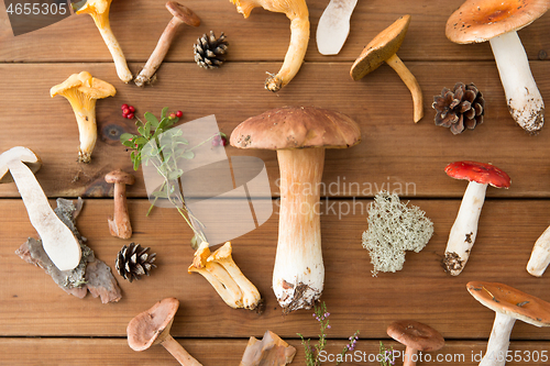 Image of different edible mushrooms on wooden background