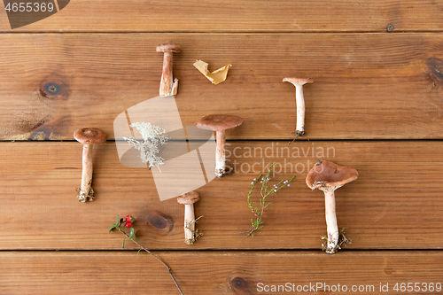 Image of lactarius rufus mushrooms on wooden background