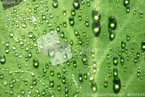 Image of water drops background