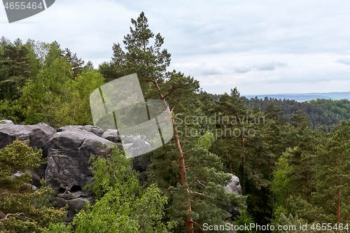 Image of rocks with face near Mala Skala, Bohemian Paradise