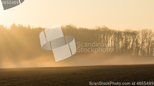 Image of country landscape in the morning in the mist