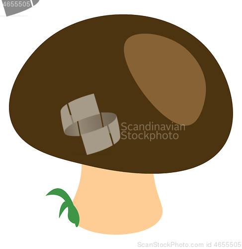 Image of A mushroom with green top vector or color illustration