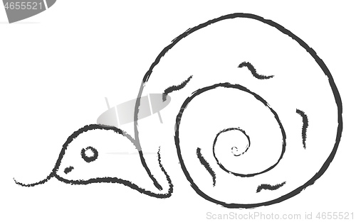 Image of A snake vector or color illustration