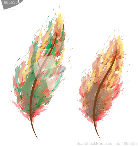 Image of Water color feathers in shades vector or color illustration