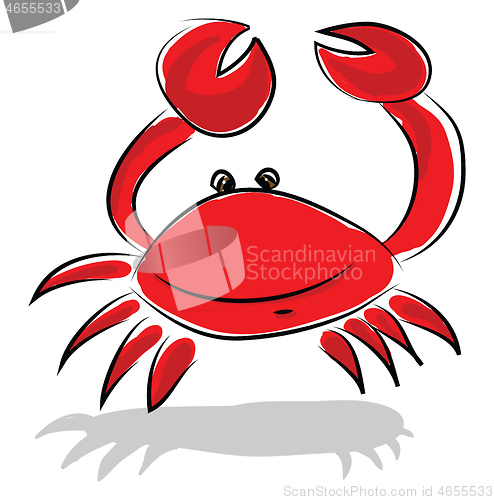 Image of A fresh water creature crayfish generally considered as a high p