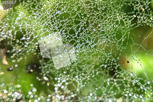 Image of water drops background
