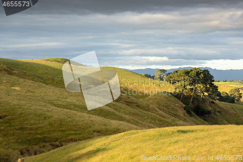 Image of typical rural landscape in New Zealand