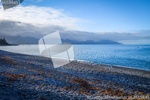 Image of Kaikoura coast and beach, New Zealand