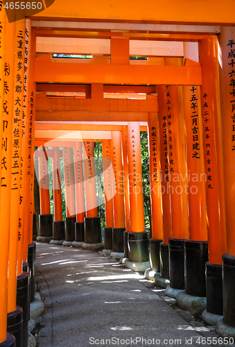 Image of Fushimi Inari Taisha torii, Kyoto, Japan