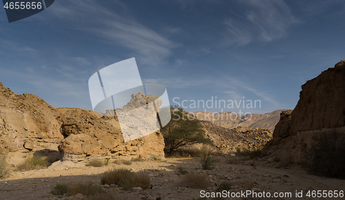 Image of Travel in Israel negev desert landscape