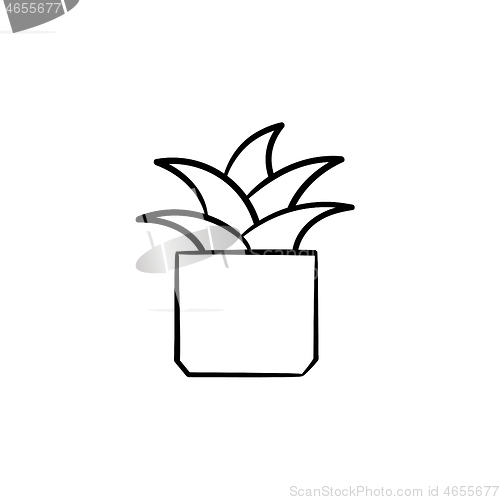 Image of Mother-in-law tongue plant hand drawn sketch icon.