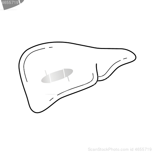 Image of Human liver line icon.