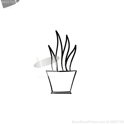 Image of Sansevieria trifasciata hand drawn sketch icon.