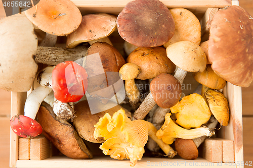 Image of wooden box of different edible mushrooms