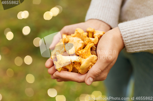 Image of close up of woman hands with mushrooms in forest