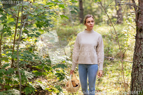 Image of woman with basket picking mushrooms in forest