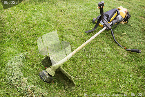 Image of Petrol trimmer is on the sloped lawn