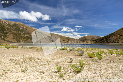 Image of Landscape scenery in south New Zealand