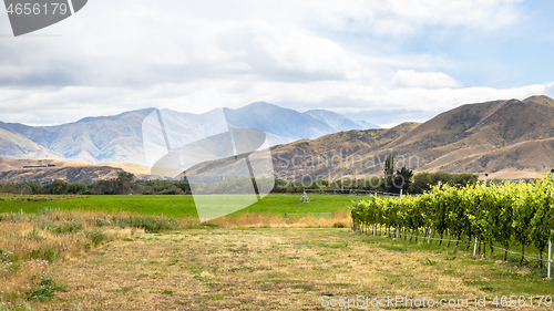 Image of Agriculture in New Zealand south island