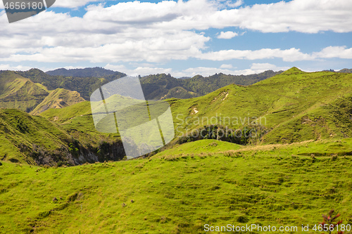 Image of typical rural landscape in New Zealand