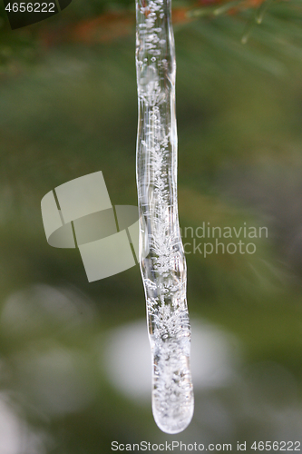 Image of Eiszapfen  icicle