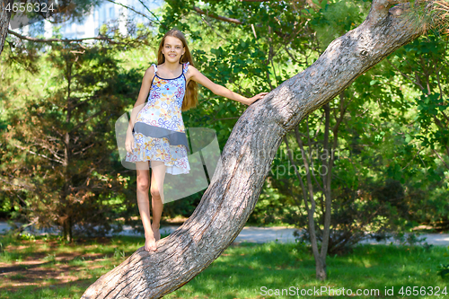 Image of Girl climbed a tree in a city park