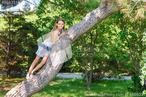 Image of Girl climbed a tree playing in a city park