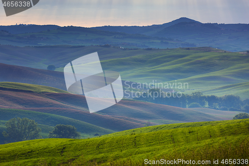 Image of Tuscany foggy morning hill landscape