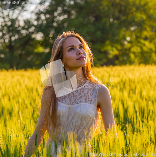 Image of Pretty girl in field at sunset