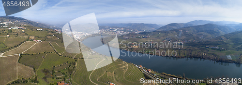 Image of Panorama of vineyards in Douro Valley