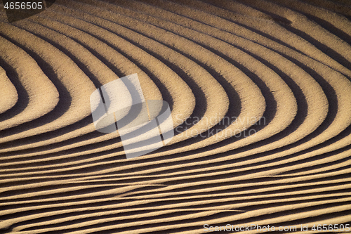 Image of Background texture of sand dunes