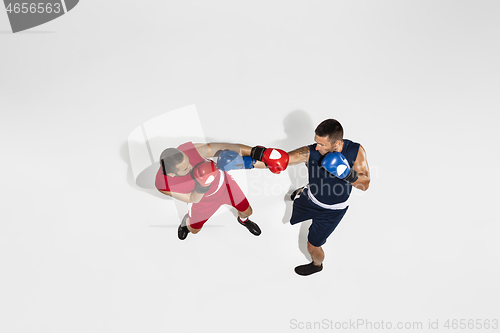 Image of Two professional boxers boxing isolated on white studio background, action, top view