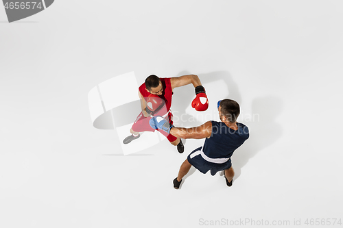 Image of Two professional boxers boxing isolated on white studio background, action, top view