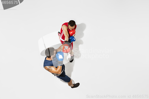 Image of Two professional boxers boxing isolated on white studio background, action, top view