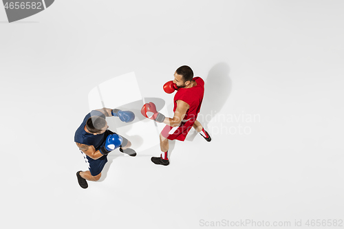 Image of Two professional boxers boxing isolated on white studio background, action, top view