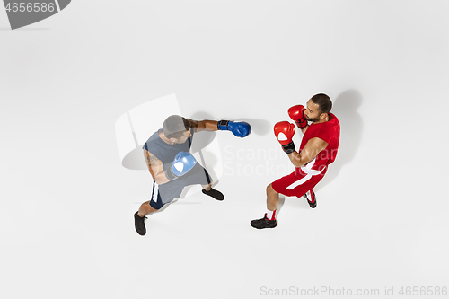 Image of Two professional boxers boxing isolated on white studio background, action, top view