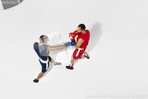 Image of Two professional boxers boxing isolated on white studio background, action, top view