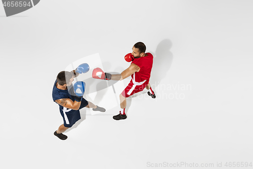 Image of Two professional boxers boxing isolated on white studio background, action, top view