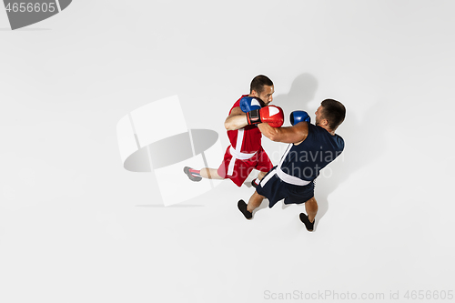 Image of Two professional boxers boxing isolated on white studio background, action, top view