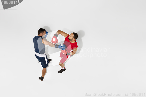 Image of Two professional boxers boxing isolated on white studio background, action, top view