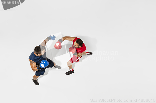 Image of Two professional boxers boxing isolated on white studio background, action, top view