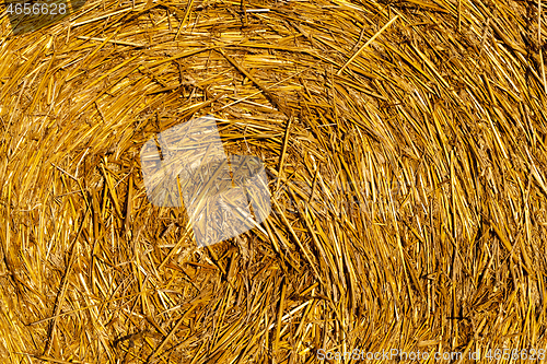 Image of Harvest of straw