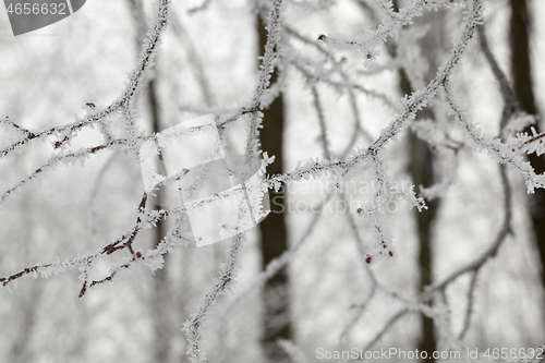 Image of Winter time of the year